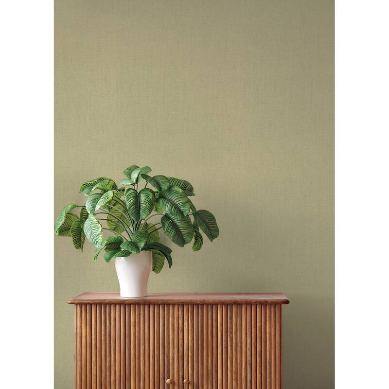 A-Street Prints Naim Olive Solid Texture Wallpaper