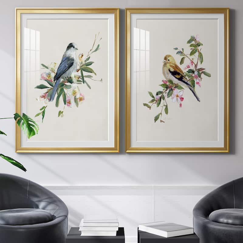 Spring Song Gray Jay Premium Framed Print - Ready to Hang
