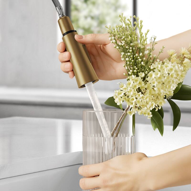 Single Handle Pull Down Kitchen Faucet with Sprayer Brass Swivels 360° Kitchen Faucet