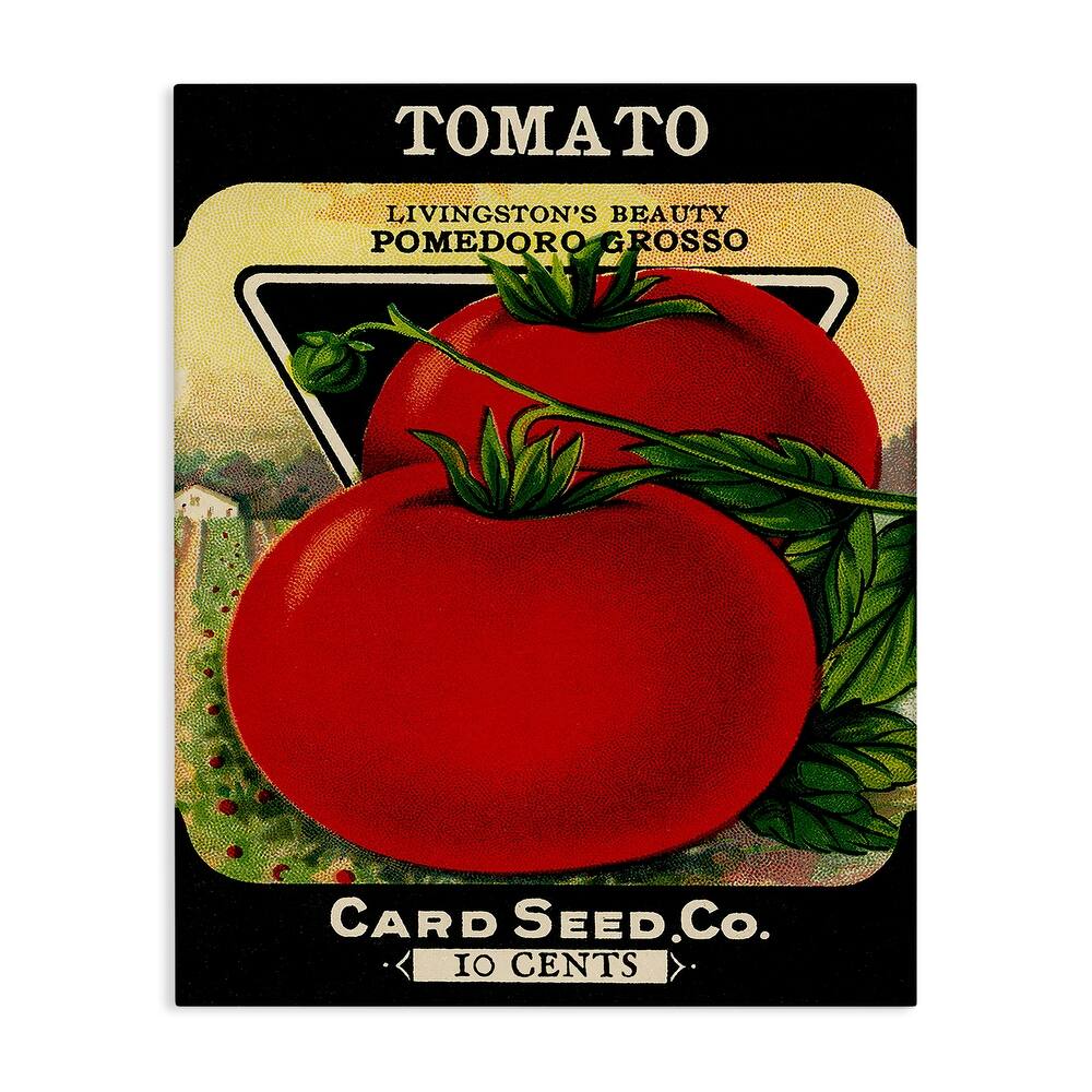 Stupell Vintage Garden Tomato Canvas Wall Art Design By Lil' Rue