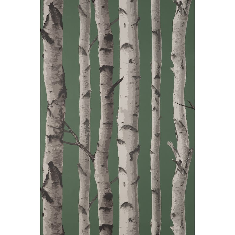 Fine Decor Chester Dark Green Birch Trees Wallpaper