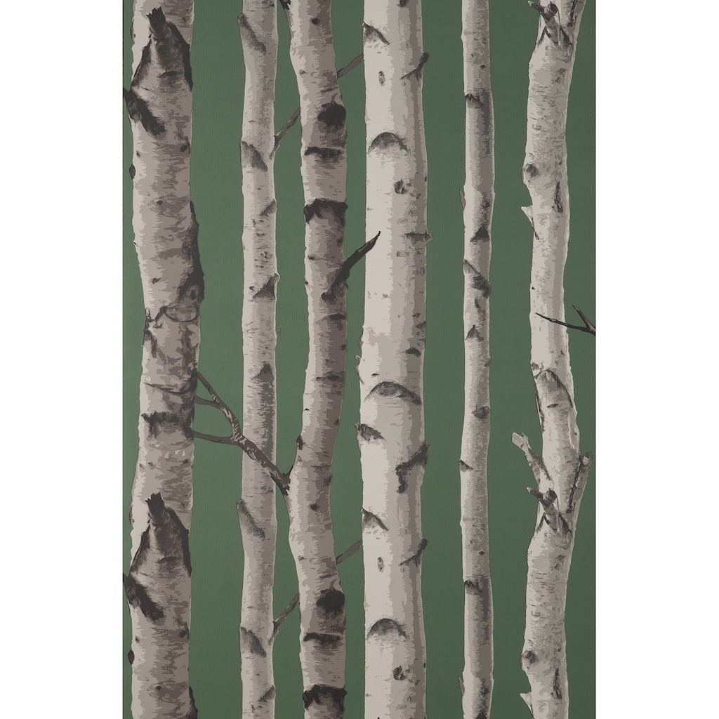 Fine Decor Chester Dark Green Birch Trees Wallpaper