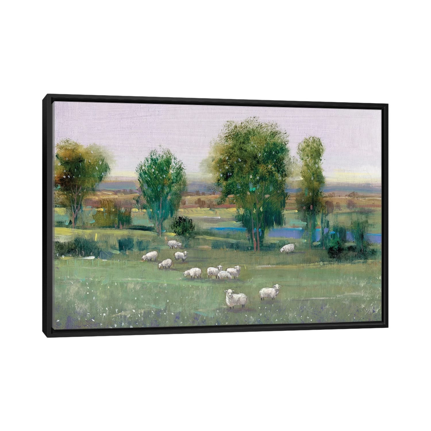 iCanvas "Field Of Sheep I" by Tim OToole Framed Canvas Print
