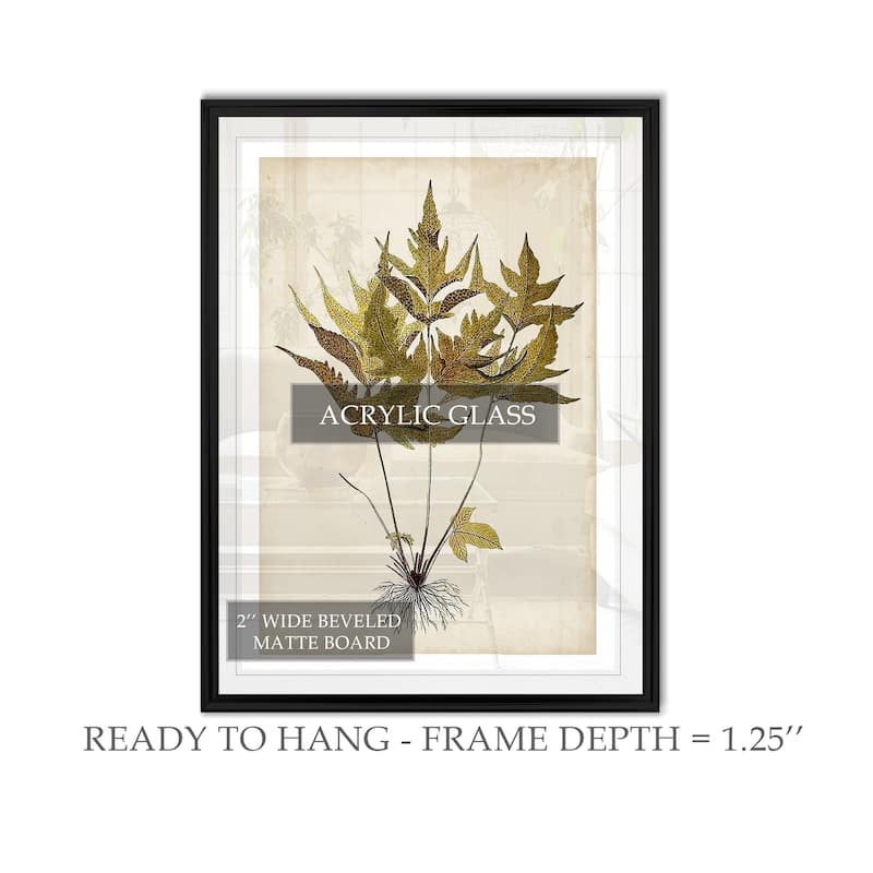Fern Botanical II -Custom Framed Print