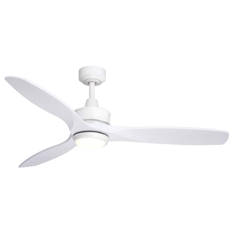 Curtiss 3-speed 52-inch Indoor or Outdoor Ceiling Fan