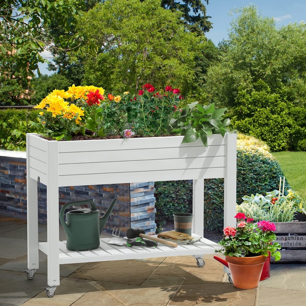 Moasis Outdoor Raised Garden Bed
