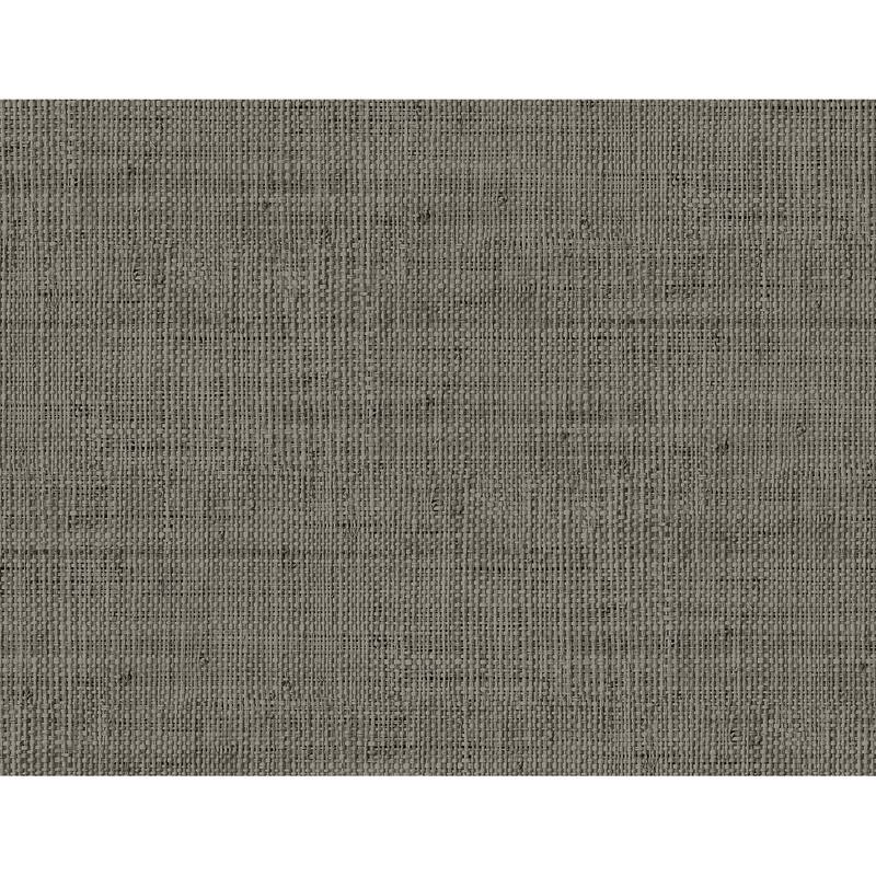 Seabrook Designs Wild Bind Embossed Vinyl Unpasted Wallpaper - 27 in W x 27 ft. L - Grey Storm