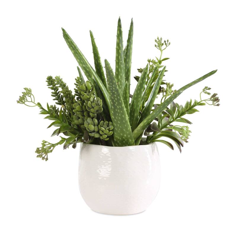 Uttermost 60244 Sundown Succulent 14" Wide Arid Succulents Artificial - Succulent / White - Succulent / White