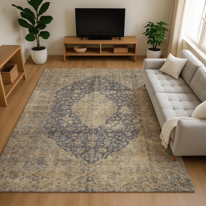 Premium Washable Super Soft Vintage Traditional Mayfield Rug - Charcoal - 10' x 14'