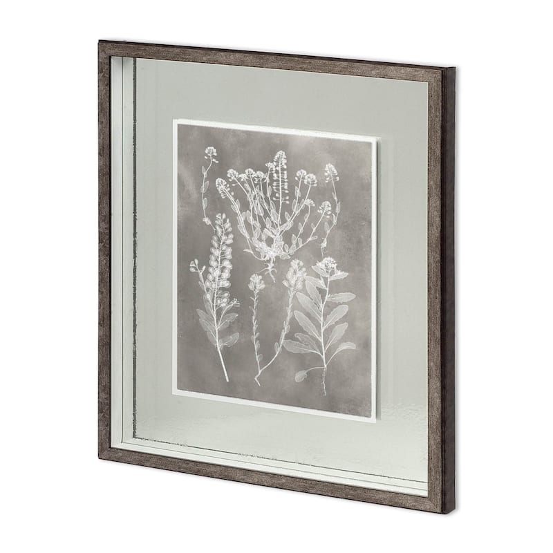 Custom Herbarium Study III Framed Art Print