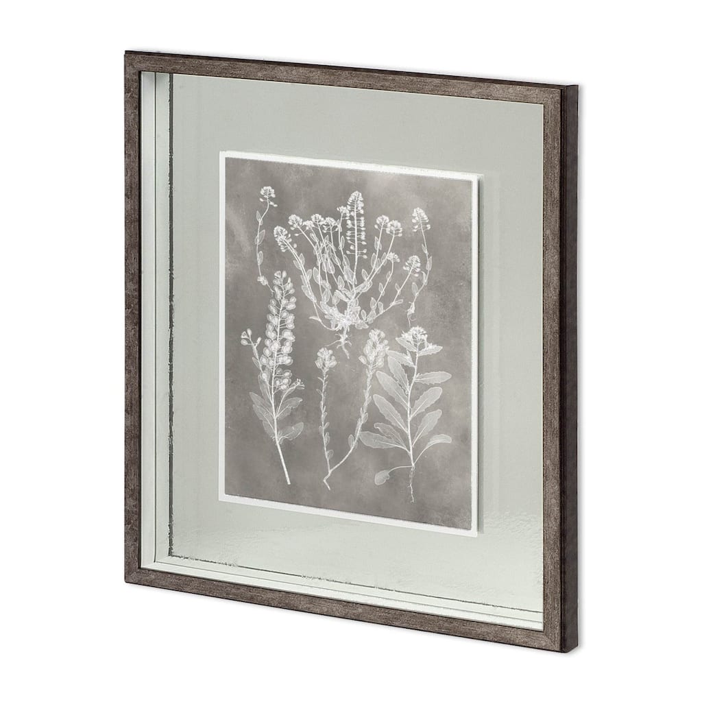 Custom Herbarium Study III Framed Art Print