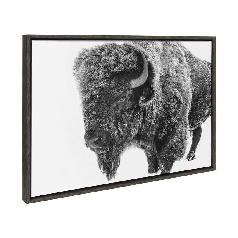 Kate and Laurel Sylvie Bison in Snow Black and White Framed Canvas by Amy Peterson Art Studio - 23x33 - Grey
