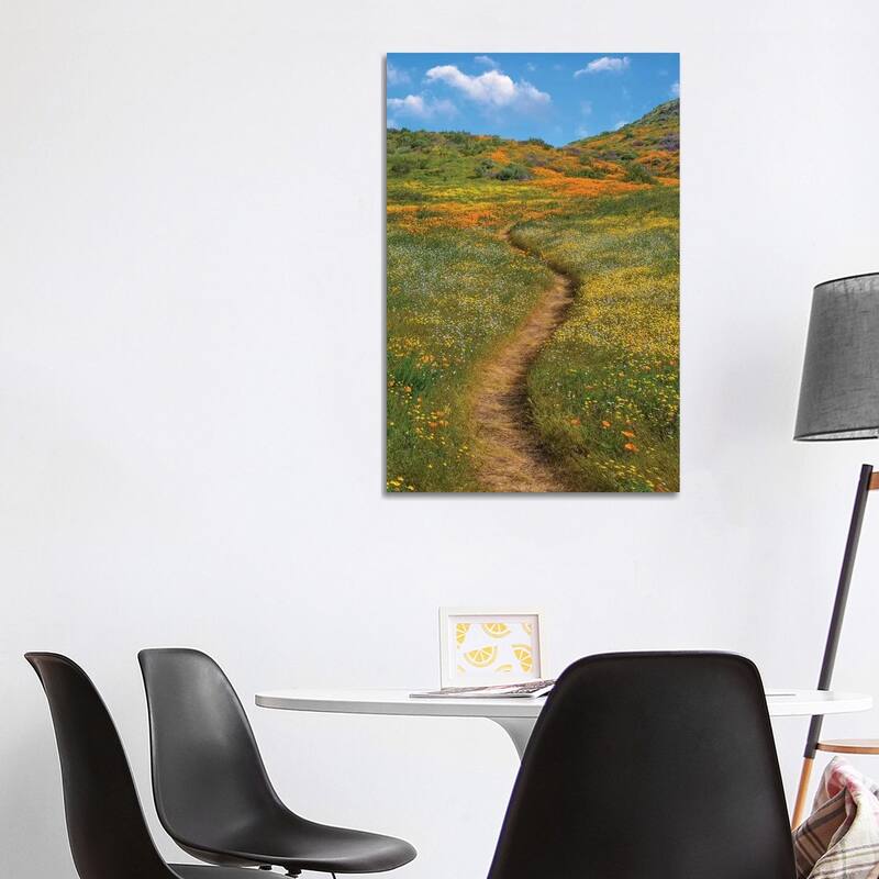 iCanvas "California Poppy, Desert Bluebell And Wildflower Spring Bloom, Diamond Valley Lake" by Tim Fitzharris Canvas Print - 40x26x1.5