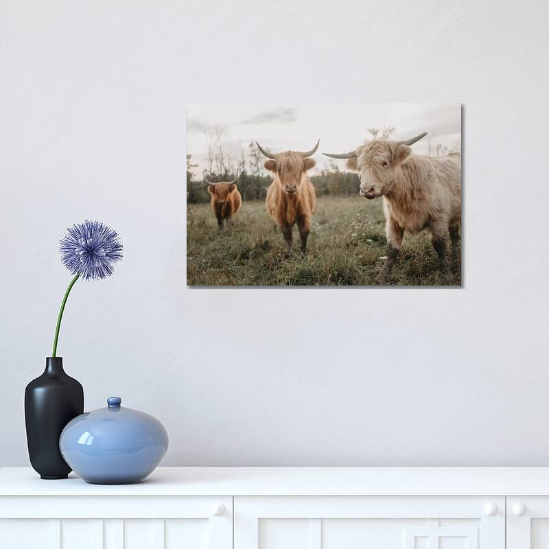 iCanvas "Cows In The Field At Sunrise" by Chelsea Victoria Canvas Print - 12x18x1.5