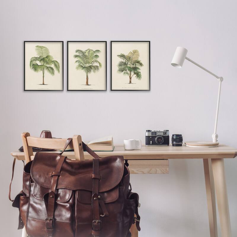 Stupell Les Palmiers Botanical Trio Framed Giclee Art Design by World Art Group (Set of 3)