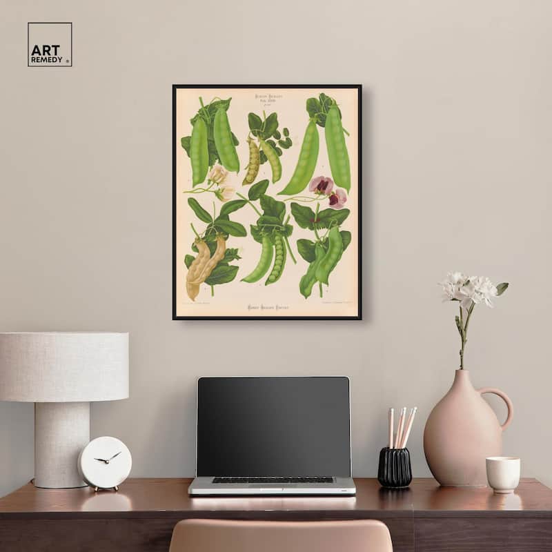 Podded Peas from Benary 1876 Canvas by Art Remedy