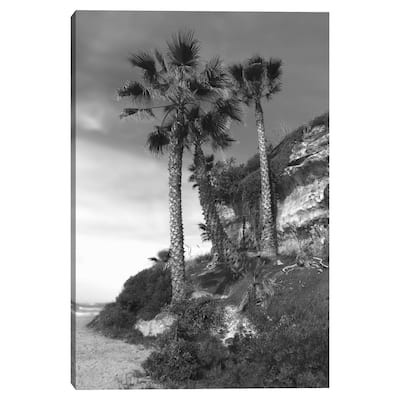 Beach Palms by Mark Timothy Canvas Art Print