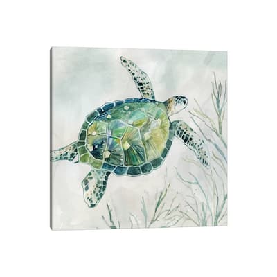 iCanvas "Seaglass Turtle I" by Carol Robinson Canvas Print