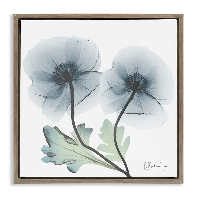 Stupell Sapphire Florals Duo Framed Floater Canvas Wall Art Design By Albert Koetsier - 18 x 18 - Brown