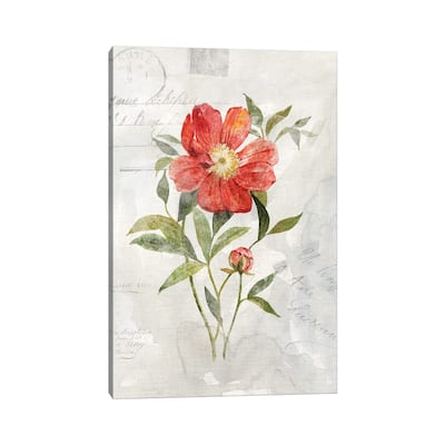 iCanvas "Linen Peony" by Carol Robinson Canvas Print