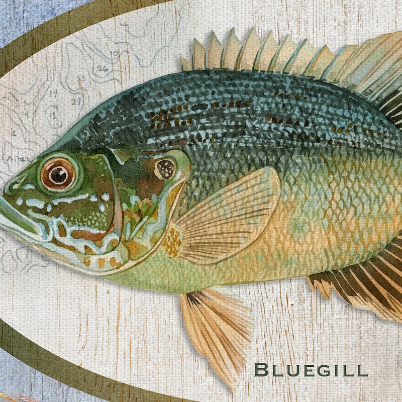 Gone Fishing by Suzanne Cruise Creative Services Canvas Art Print