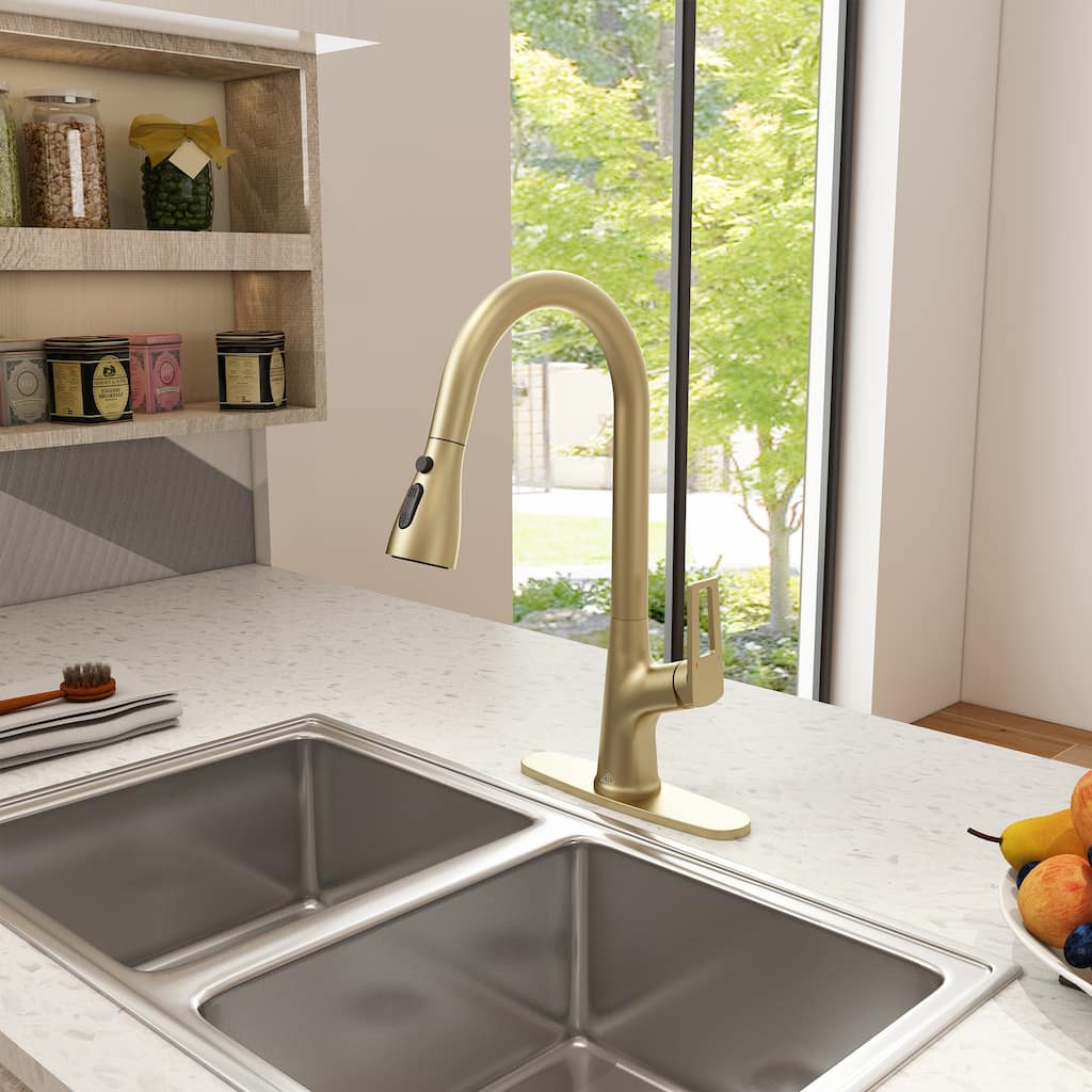 Single-Handle Kitchen Sink Faucet With Pull-Out Sprayer