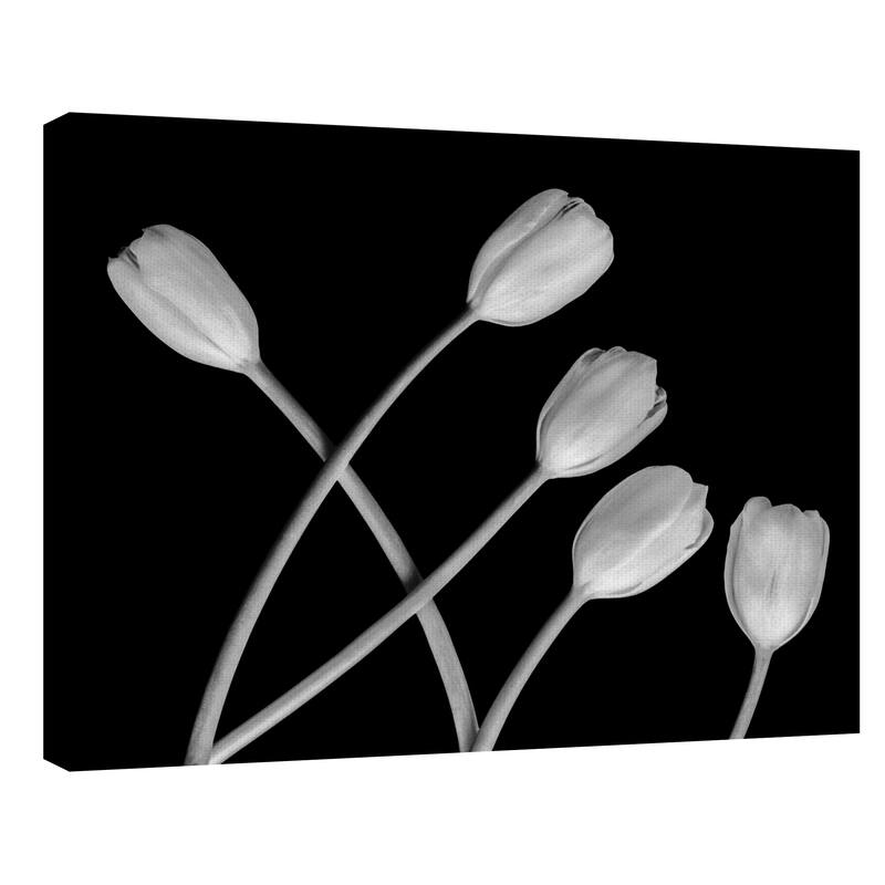 Untitled 132 by Michael Faragher Canvas Art Print