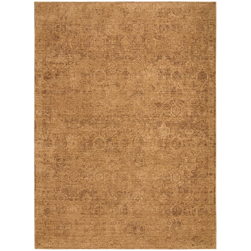 DKNY Pure Shades Indoor only Persian Vintage Area Rug