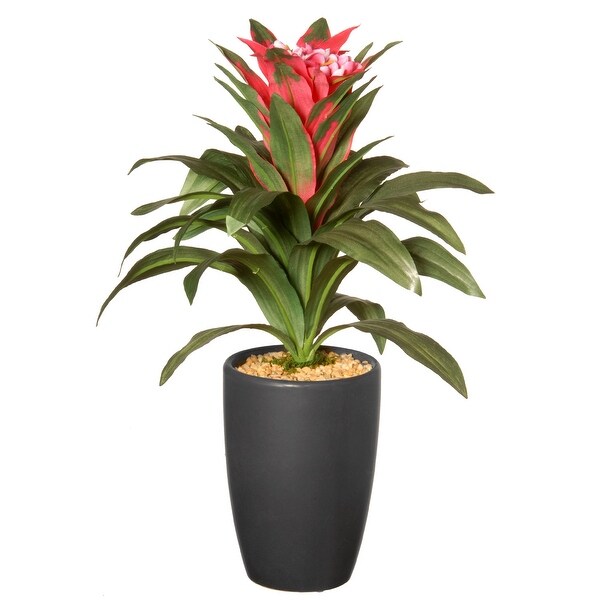 13" Potted Dracaena Plant - N/A
