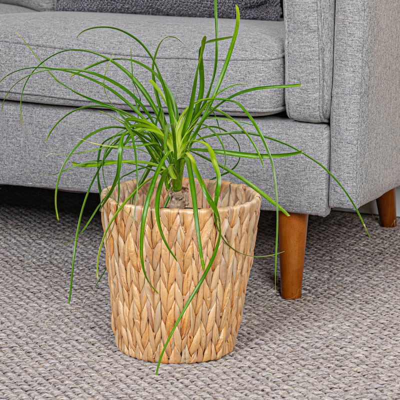 Household Essentials Handwoven Water Hyacinth Waste Basket with Plastic Liner - 9.8"L x 9.8"W x 9.8"H - Natural
