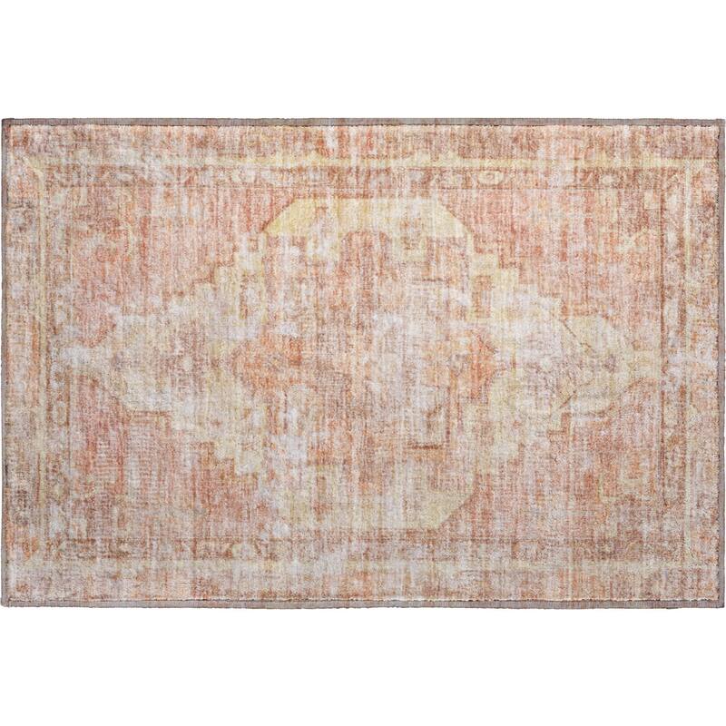 Premium Washable Super Soft Vintage Traditional Mayfield Rug