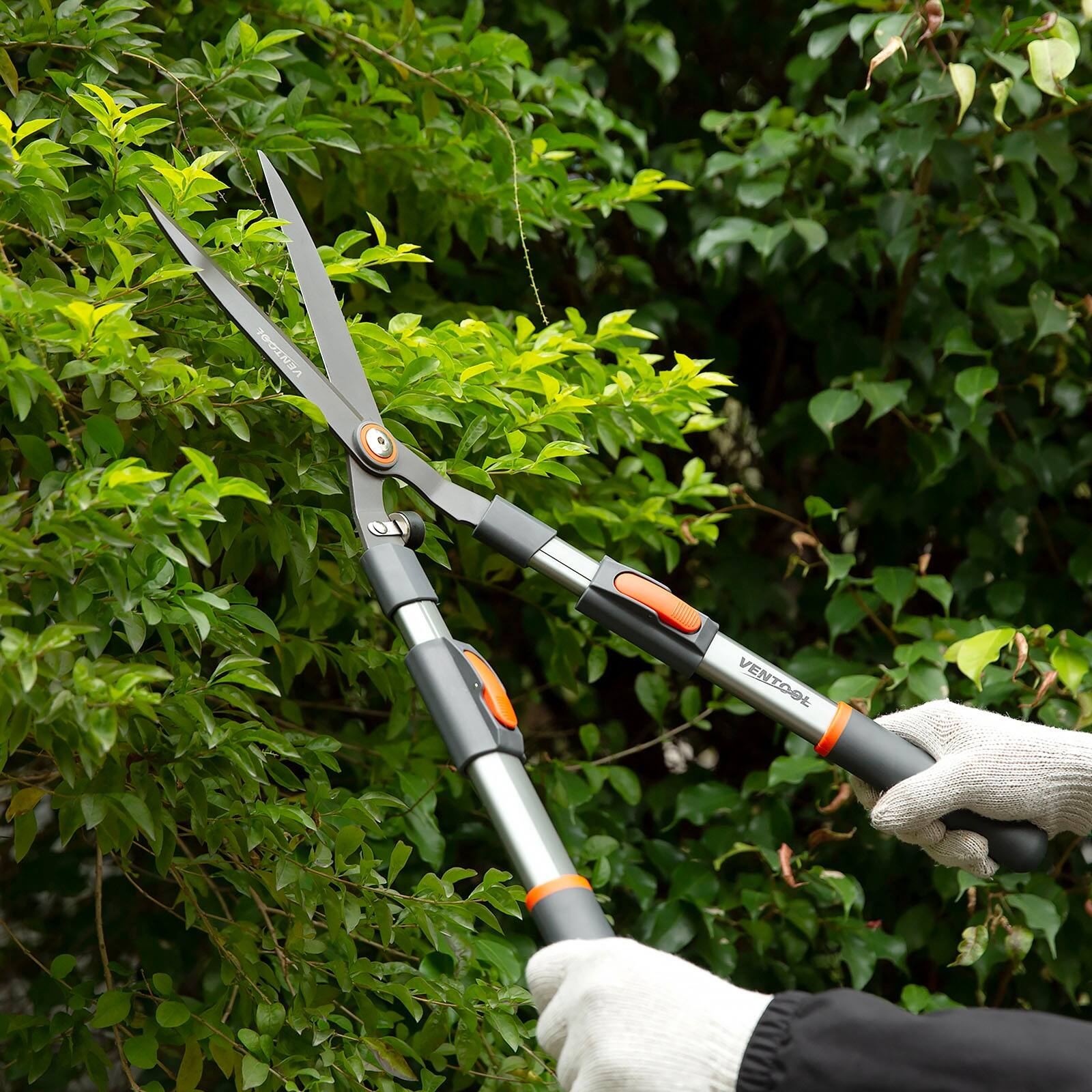 Ventool 26¾Inch 32½Inch Telescopic Straight Blade Hedge Shears