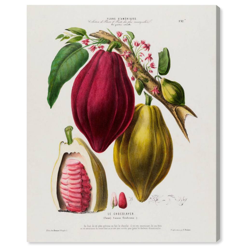 Cocoa Cacao by Etienne Denisse Canvas by Art Remedy, Gallery Wrapped