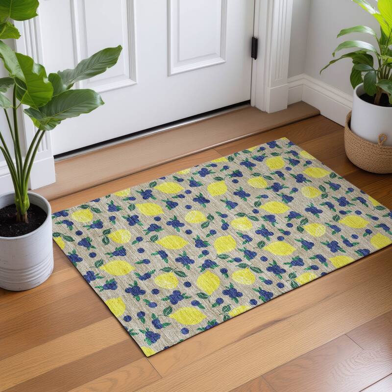 Machine Washable Indoor/ Outdoor Citrus Berry Chantille Rug