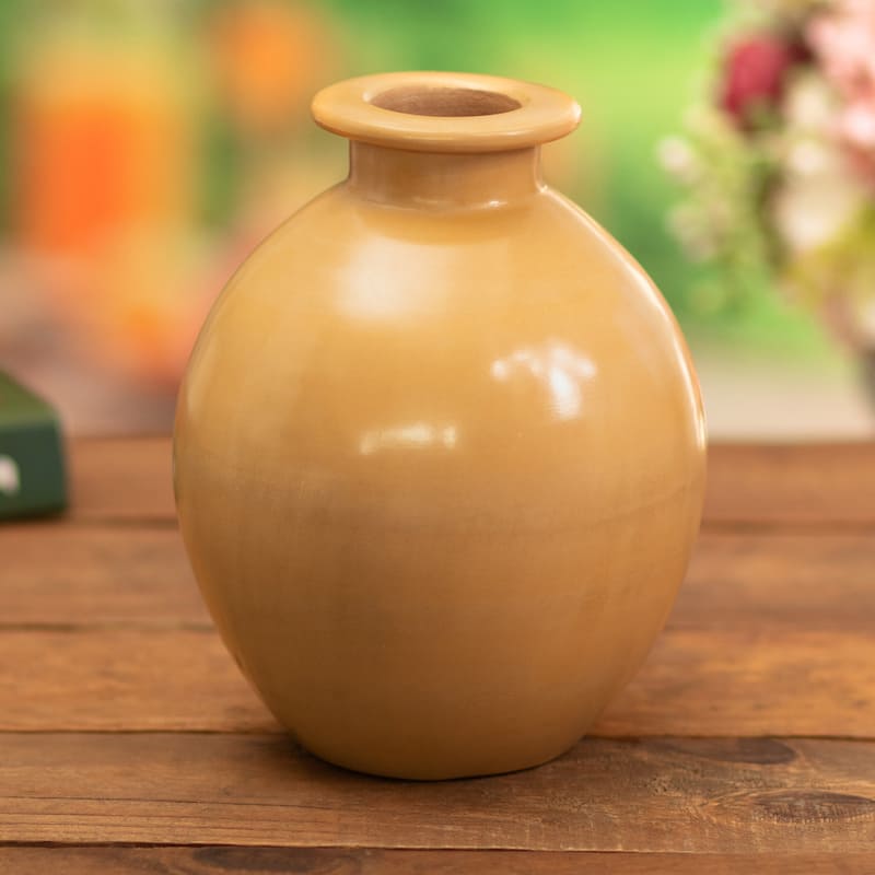 Novica Handmade Exquisite Earth Ceramic Decorative Vase
