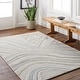 preview thumbnail 3 of 7, Darion Modern & Contemporary Area Rug Taupe/Multi - 10' x 14'