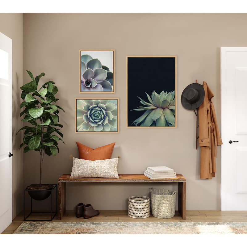 Kate and Laurel Sylvie Succulent Canvas Set by Emiko and Mark Franzen