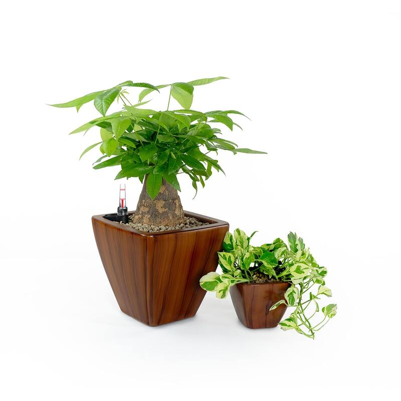 2-Pack Smart Self-watering Square Cone Planter Pot