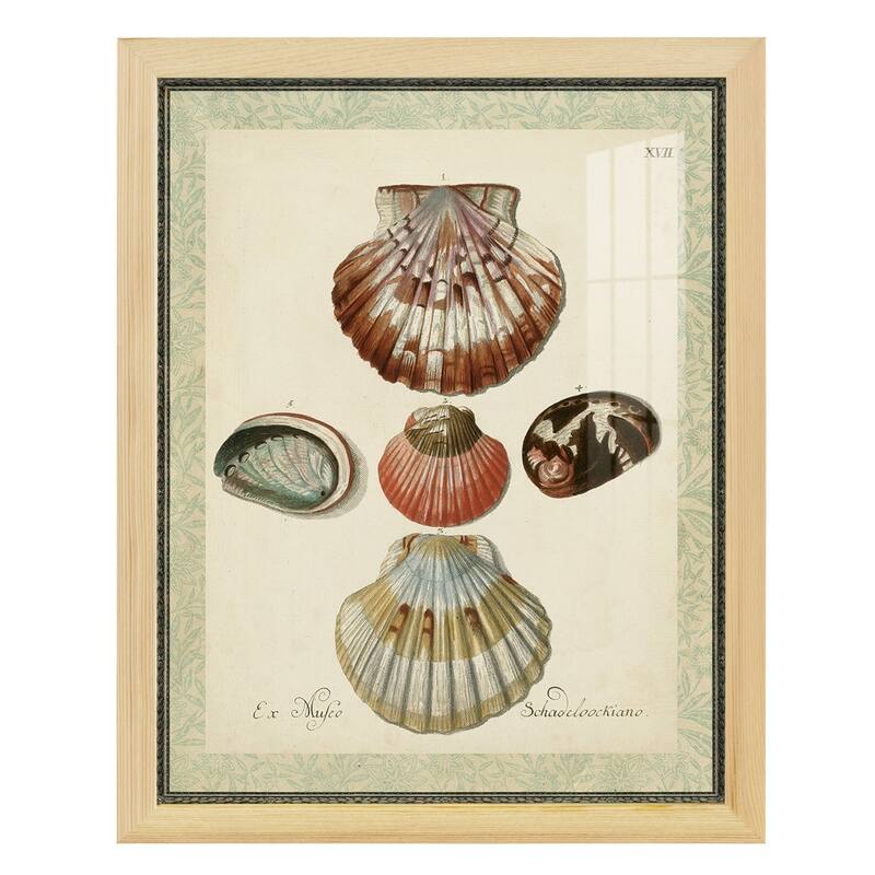Bookplate Shells III -Framed Print w/glass-Cherry Red