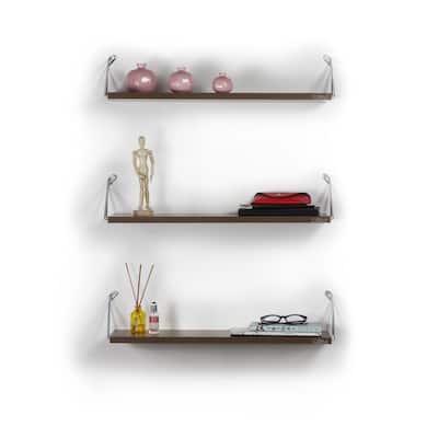 DiscountWorldAatrox Shelf