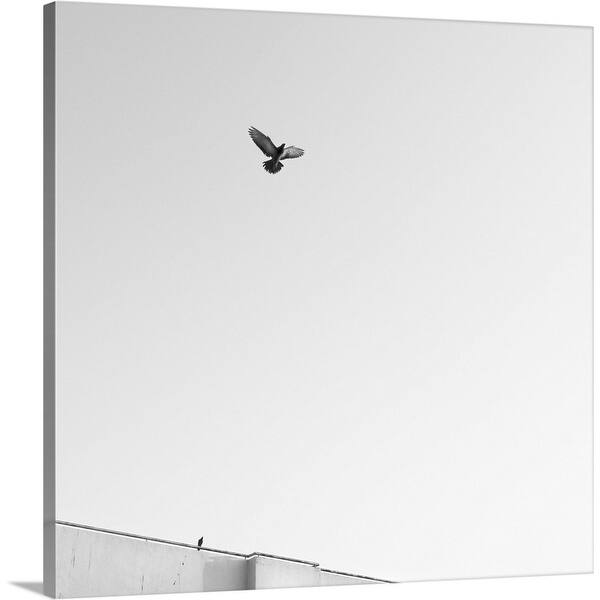 Shop Birds Flying In The Sky Black And White Photos Canvas