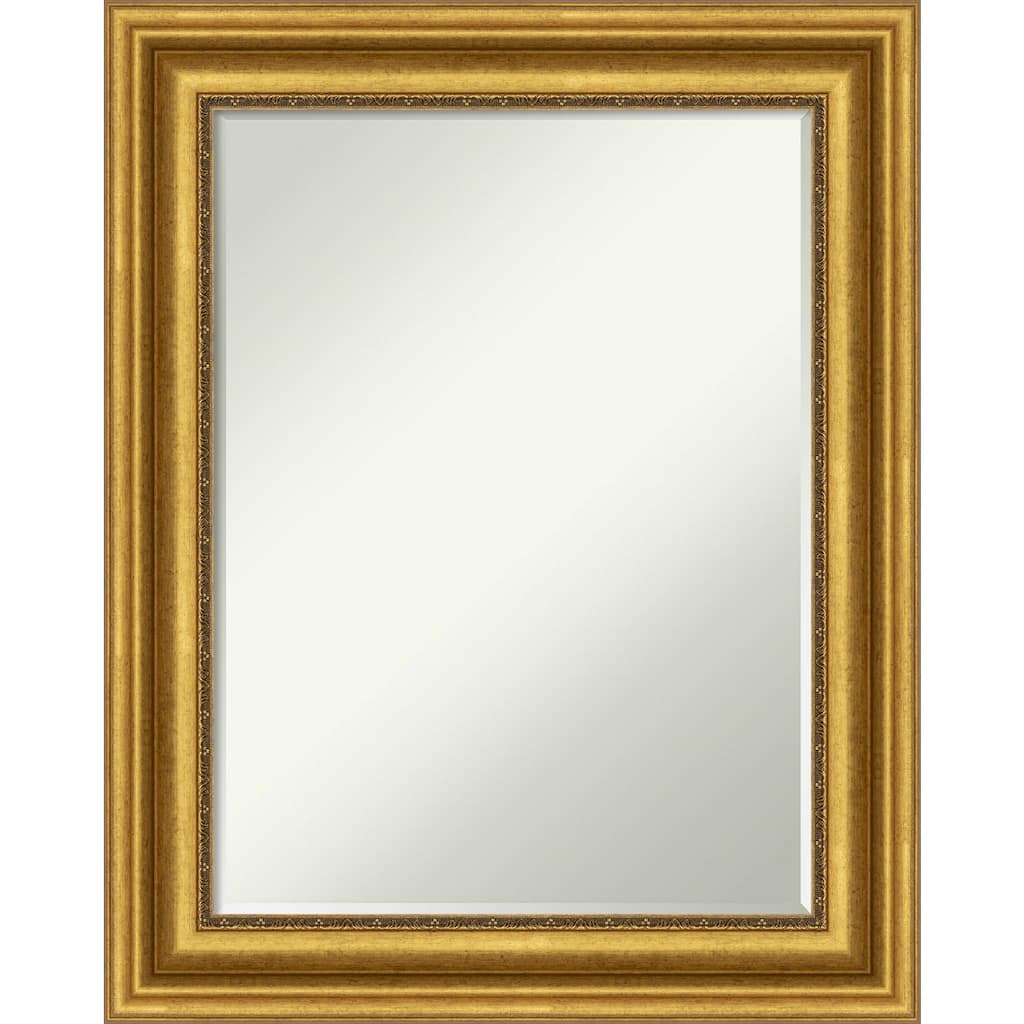 Petite Bevel Bathroom Wall Mirror - Parlor Gold Frame - 24 x 30 in