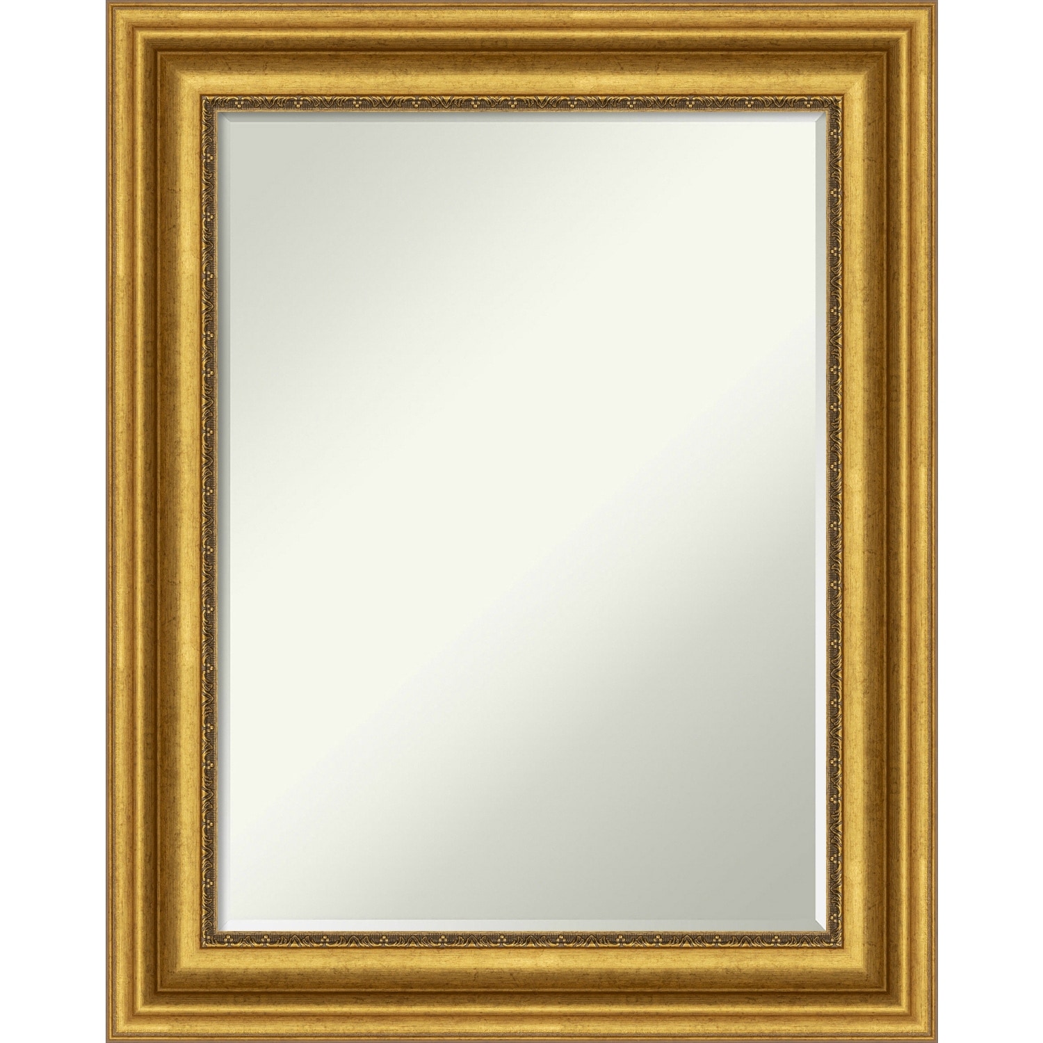 Petite Bevel Bathroom Wall Mirror - Parlor Gold Frame - 24 x 30 in