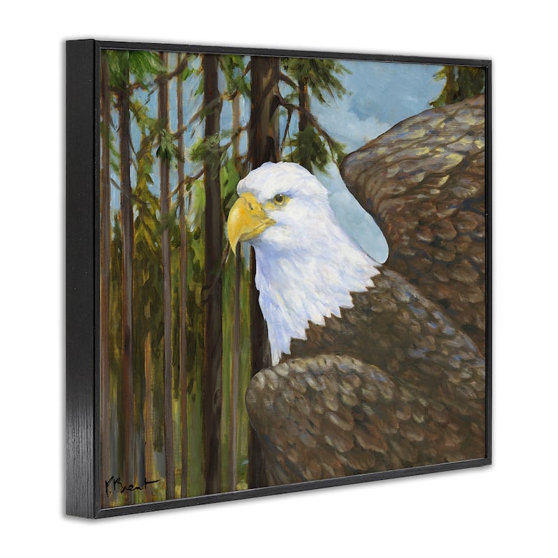 Stupell Woodland Eagle's View Framed Giclee Art Design By Paul Brent
