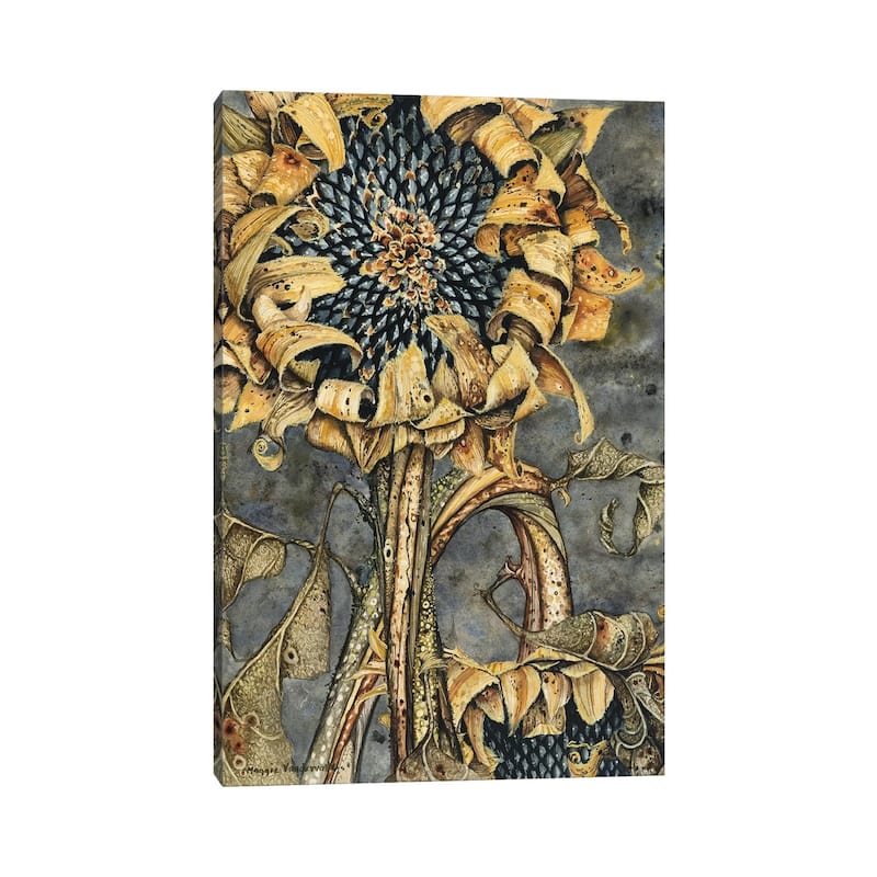 iCanvas "Duskflower" by Maggie Vandewalle Canvas Print