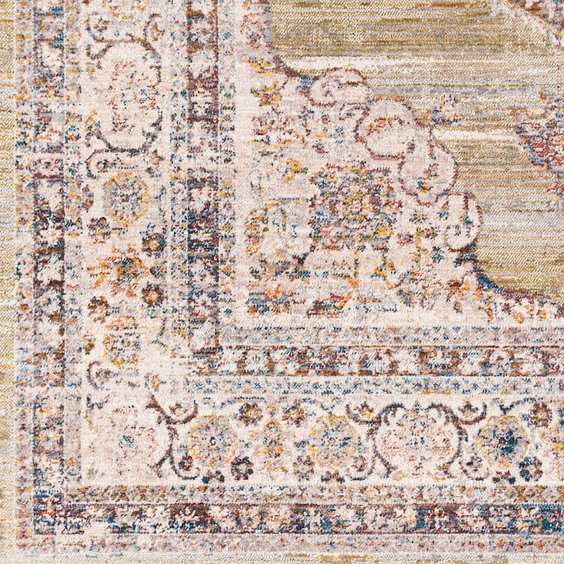 Artistic Weavers Raji Distressed Medallion Area Rug