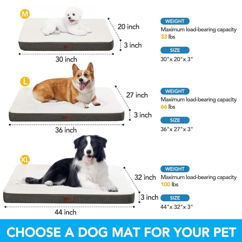 Orthopedic Dog Bed with Washable Cover