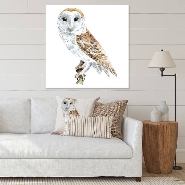Designart "Portrait Of A Barn Owl II" Traditional Canvas Wall Art Print ...