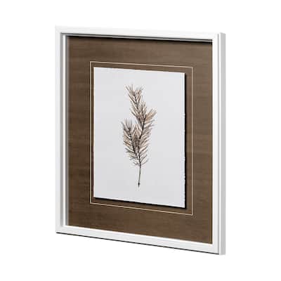 Douglas II Framed Art Print