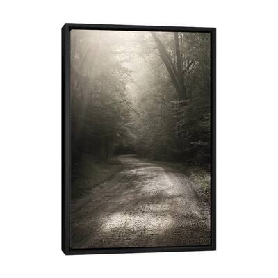 iCanvas "Back Country Road" by Nicholas Bell Photography Framed Canvas Print
